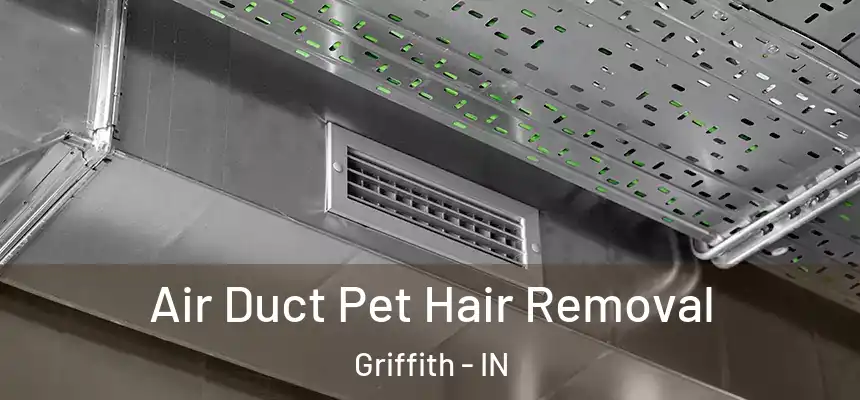  Air Duct Pet Hair Removal Griffith - IN