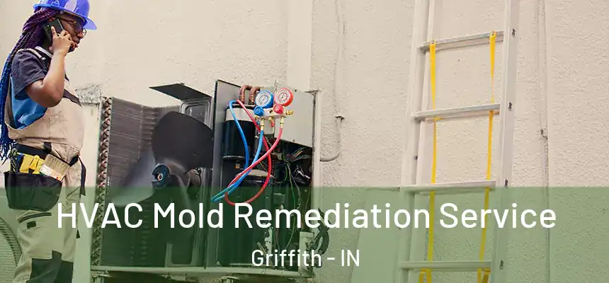  HVAC Mold Remediation Service Griffith - IN