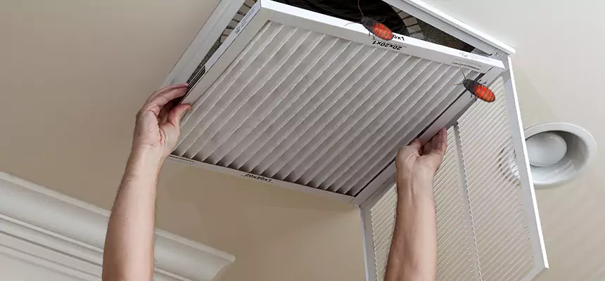 Preventive Cockroach-Proofing for Ducts in Griffith