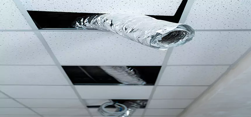 Our Air Duct Pet Hair Removal Services in Griffith, IN