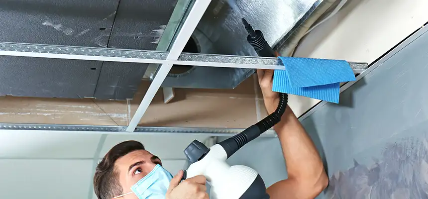 Our Air Duct Rodent Removal Services in Griffith, IN