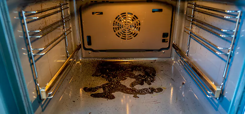 Our Dryer Vent Mold Cleaning Services in Griffith, IN