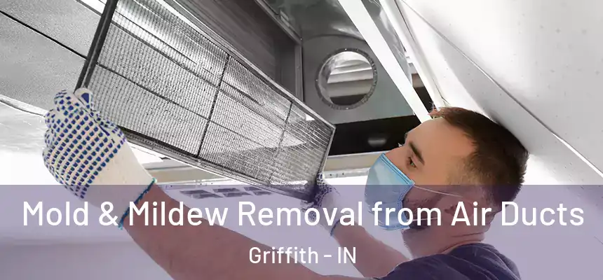  Mold & Mildew Removal from Air Ducts Griffith - IN
