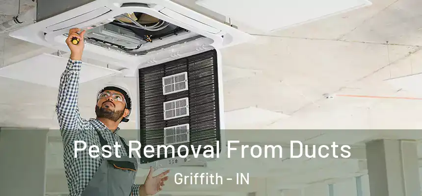  Pest Removal From Ducts Griffith - IN