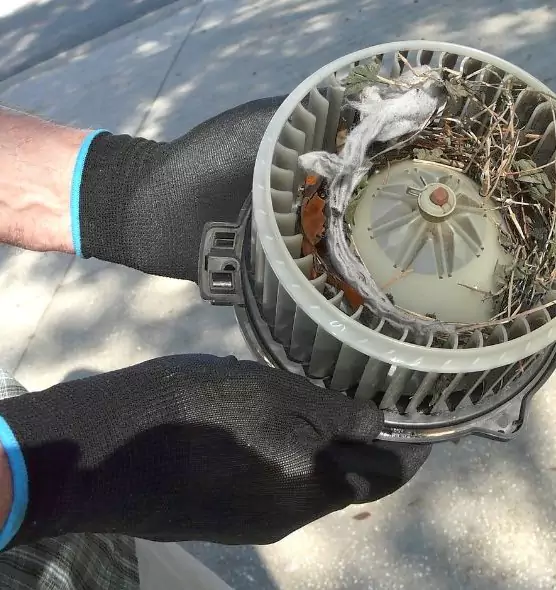 About Air Duct Mice Removal in Griffith, IN