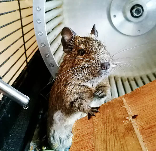 Why Homeowners & Businesses Trust Us Griffith, IN?